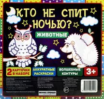 Кто не спит ночью? Животные